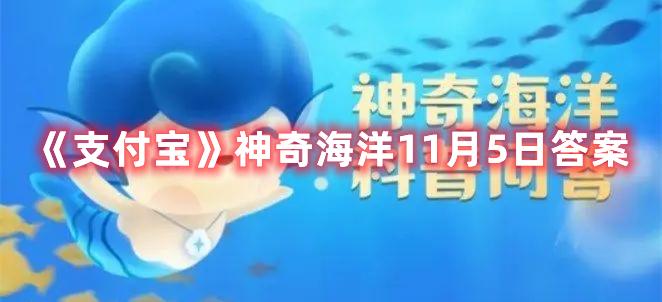 《支付宝》神奇海洋11月5日答案