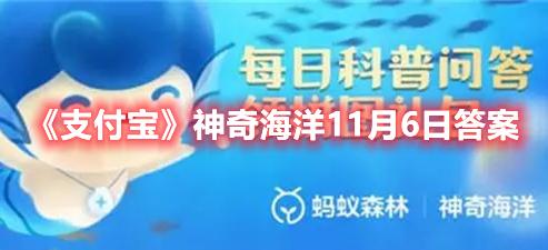 《支付宝》神奇海洋11月6日答案