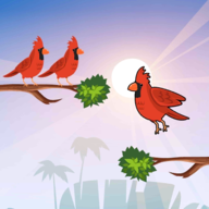 鸟排序益智游戏BirdSort官方最新版