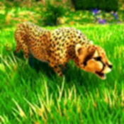 猎豹家庭模拟器CheetahFamilySimulatorGame官方最新版