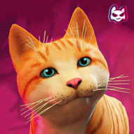 流浪猫模拟器Stray Game Simulator Cat中文版