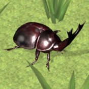 昆虫战斗模拟器中文版
