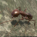 蚂蚁模拟3D手机版